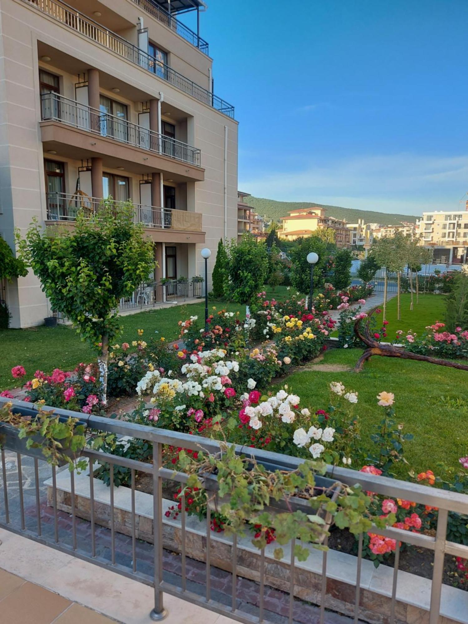Charming Studio In Sorrento Sole Mare سفيتي فلاس المظهر الخارجي الصورة